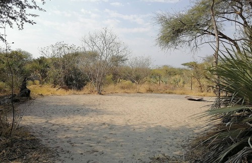 Maun RV Rental | Delightful campsite in nature between Maun & Moremi