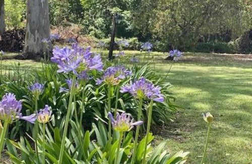 Partido de Ramallo Ski Chalet | Delightful Cottage Overlooking the Parana River.