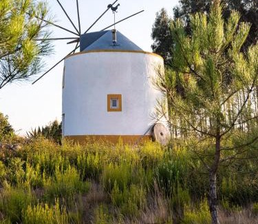 Famalicao Villa | Delightful forest windmill, 10 min away from the beach