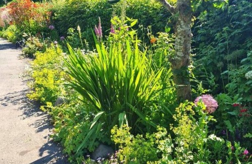 Hopton Castle Cottage | Delightful 1 Bedroom Cottage Clungunford, Ludlow