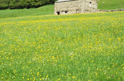 Worton Apartment | Delightful private guest suite in the heart of Swaledale