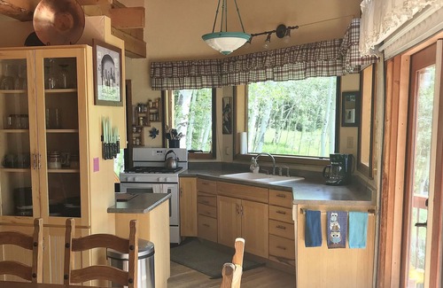 Telluride Cabin | Delightful Rustic Home 10 minutes from the Historic Town of Telluride Colorado