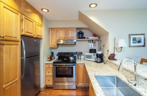 Telluride Condo | Delightful Ski-In/Ski-Out Retreat Steps From Outdoor Adventures