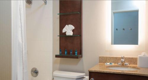 Kalamazoo Hotel | Delta Hotels by Marriott Kalamazoo Conference Center