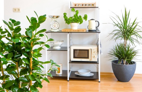 Innere Neustadt Apartment | DELUX 2 roomapt. TOP LOCATION easy CheckIn+Netflix