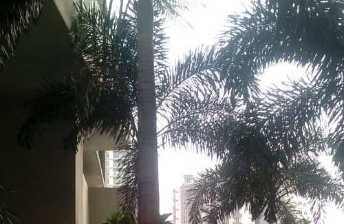 City Centre Apartment | Deluxe apartment city central 2 BR
