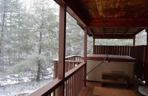 Eckerty Cabin | Deluxe Cabin 15 with HOT TUB Located on Patoka Lake in Southern Indiana