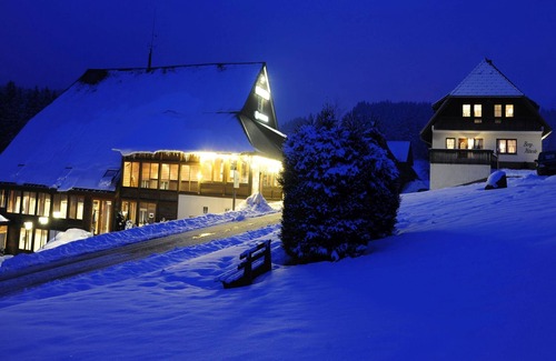 Furtwangen Apartment | Deluxe Doppelzimmer mit Balkon