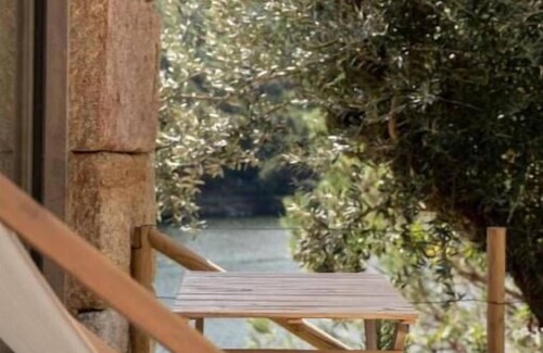 Cinfaes House | Deluxe Double or Twin Room with Astonishing View Over Douro River