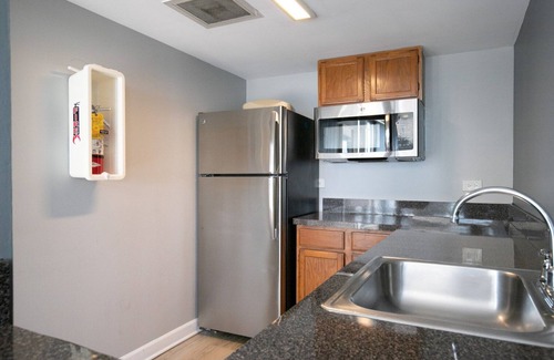 Oak Park Apartment | Deluxe Oak Park 1BR w/Lounge & Roof, nr Downtown, by Blueground
