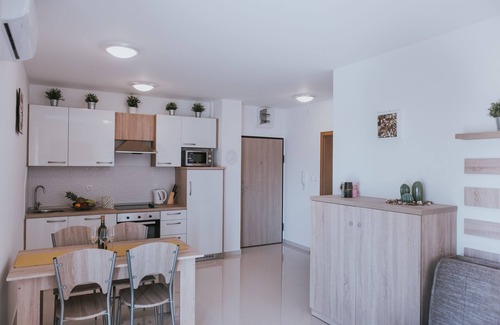 Zrce Apartment | Deluxe Pool Apartments for 16