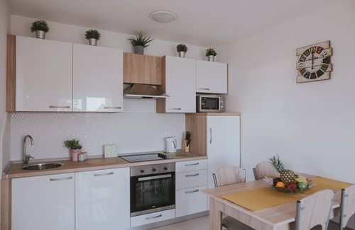 Zrce Apartment | Deluxe Pool Apartments for 16
