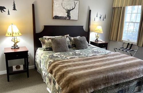 Hancock Apartment | Deluxe Ski On Off 1BR Suite Sleeps 4 on Jiminy Mtn