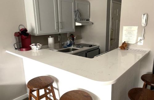 Hancock Apartment | Deluxe Ski On Off 1BR Suite Sleeps 4 on Jiminy Mtn