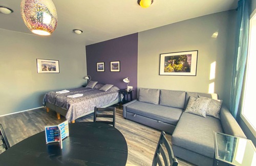 Eyrarbakki Apartment | Deluxe Studio Apartment