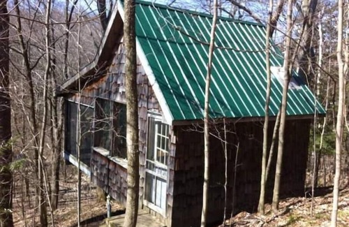 Durham Region Cabin | Deluxe Tree House 1 Hour from Toronto