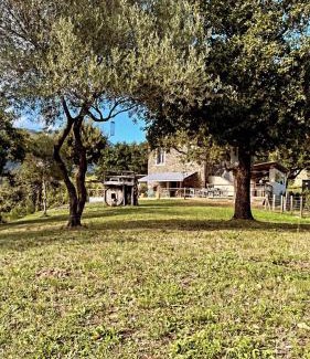 San-Giuliano Apartment | Demeure de charme, appartement du Campu di l altru mondu