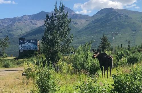 Healy Hotel | Denali Park Hotel