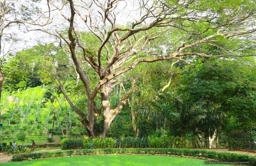 Pelmadulla Villa | Denawaka Planters Bunglow