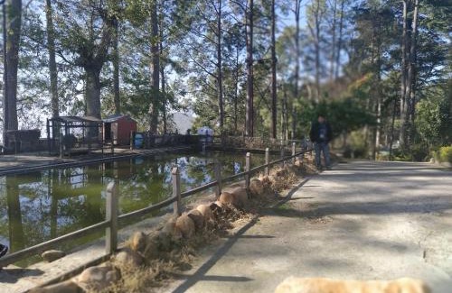 Almora House | Deodar Homestay