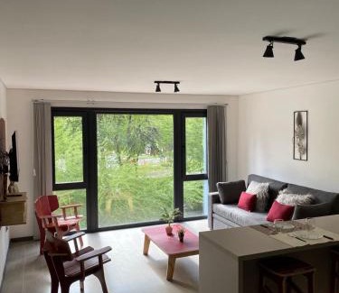 San Martin de los Andes Apartment | DEPARTAMENTO ZONA CENTRO R. ROCA