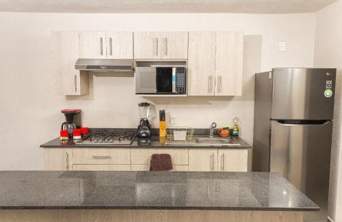 La Perla Apartment | Departamento céntrico cerca de IMSS HC vil y CUCS
