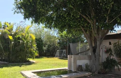 Hermosillo Apartment | Departamento con Hermoso jardin