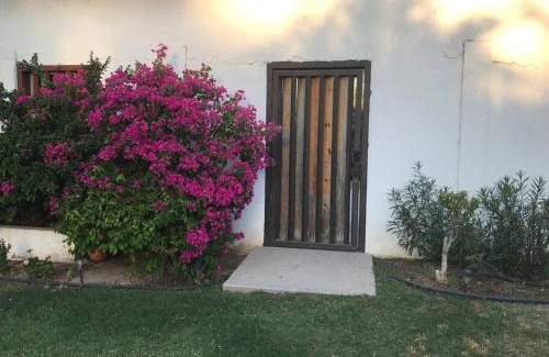 Hermosillo Apartment | Departamento con Hermoso jardin