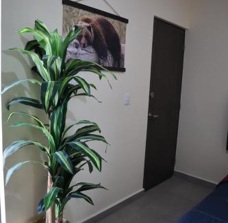 Saltillo House | Departamento en residencial privada