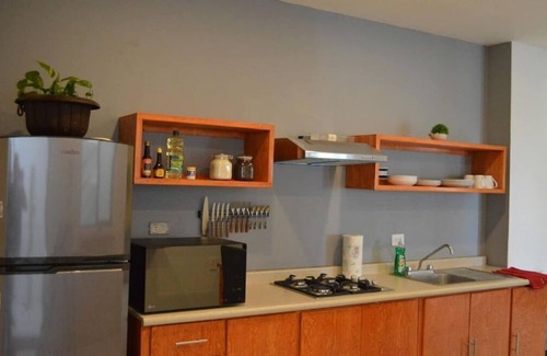 Fresnillo House | Departamento Ilustre