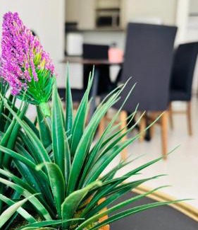 Puerto Juarez Apartment | Departamento Itzae