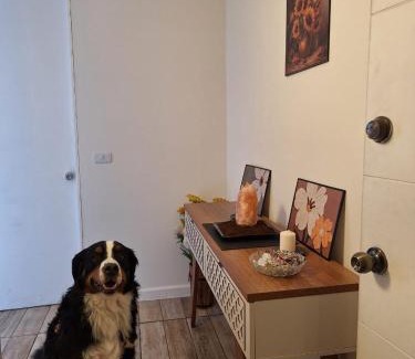 Downtown Santiago Apartment | Departamento metro Rondizzoni
