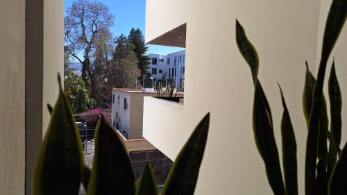 San Luis Potosi Apartment | Departamento Nuevo y Moderno Totalmente Equipado