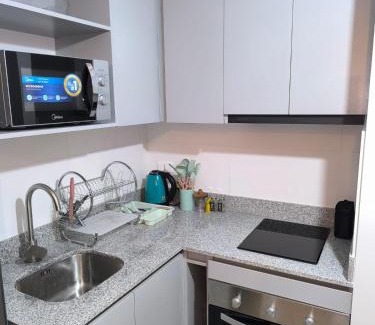 Downtown Santiago Apartment | Departamento Parque O'Higgins