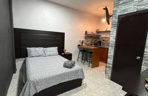 Ciudad del Carmen Apartment | Departamento PLAYA GRIS