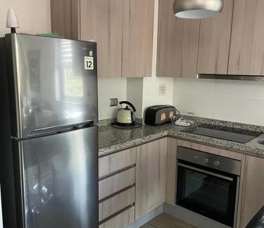Pucon Apartment | Departamento Pucón - Parque Condominio Castaños de Alicura