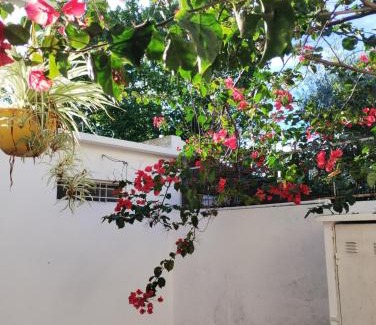 La Plata Apartment | Departamento y naturaleza
