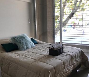 Rosario Apartment | Departamento Zona Norte