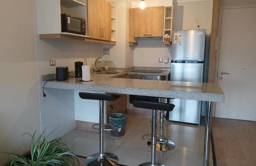 Osorno Apartment | Departamentos MyL 505