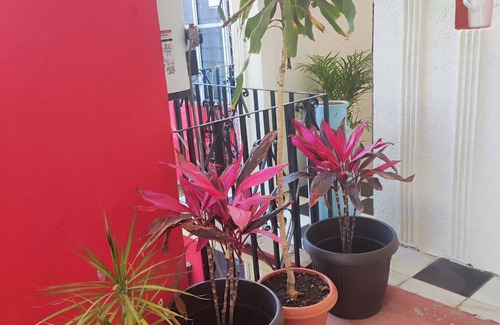 Oaxaca Apartment | Department Ceiba downtown