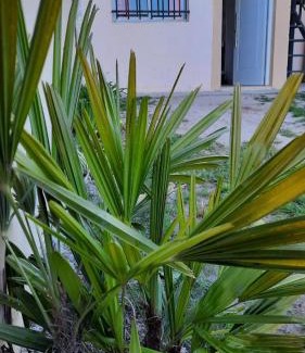 Concepcion del Uruguay Apartment | Depto. cedelu