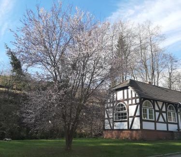 Harzgerode Apartment | Der perfekte Ausgangspunkt