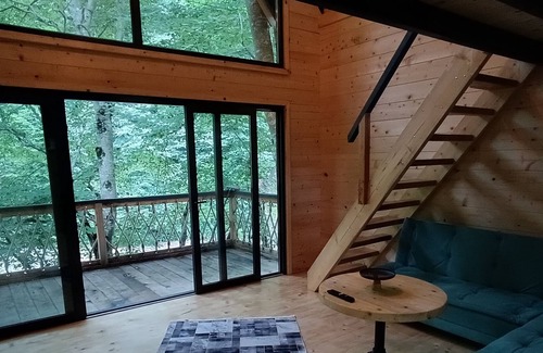Rize Cabin | Dere Kenarı Orman içi dağ evi