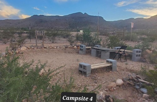 Van Horn Other | Desert Gardens Oasis Campground