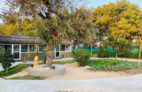 Shekhawati Resort | Desert Nights