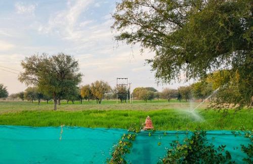 Shekhawati Resort | Desert Nights