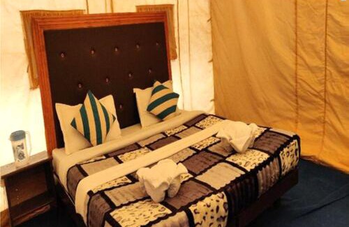 Hundur Other | Desert Oasis Camp