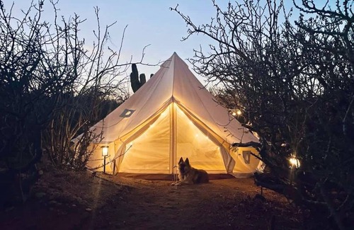 Los Zacatitos House | Desert Zen with Pool, Rooftop, and Glamping Tent