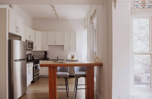 Rush and Division Apartment | Designer Apartment 2W | Heart of Gold Coast/River North