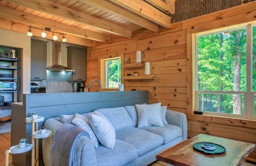 Saluda Cabin | Designer Log Cabin⛰️ Views + Biltmore Pass | Modern Luxury near Saluda